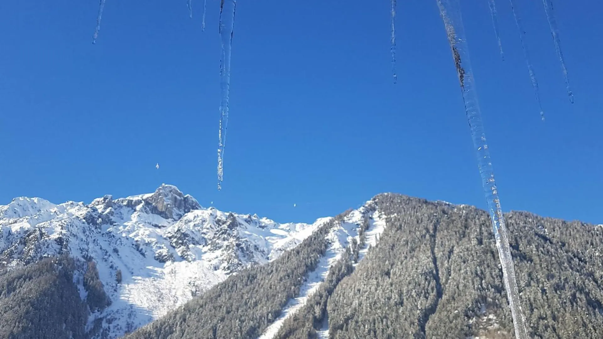 Superbe Appart Renove Centre, 7-10 Pers, Animaux Admis - Fr-1-517-37 Chamonix Apartment